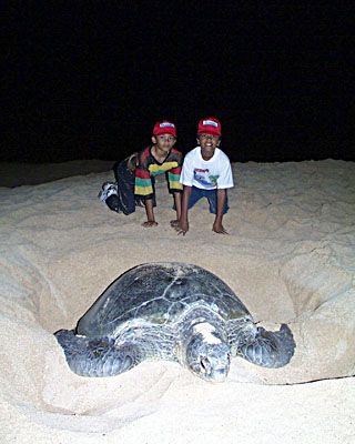 Ascension Island