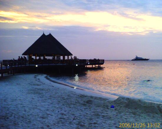 Bandos Island Maldive Islands DX News