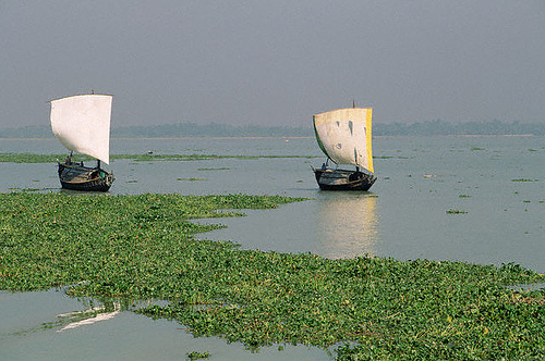 Bangladesh S21FGC