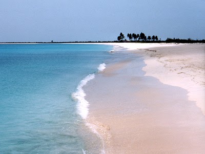 active from Barbuda Island