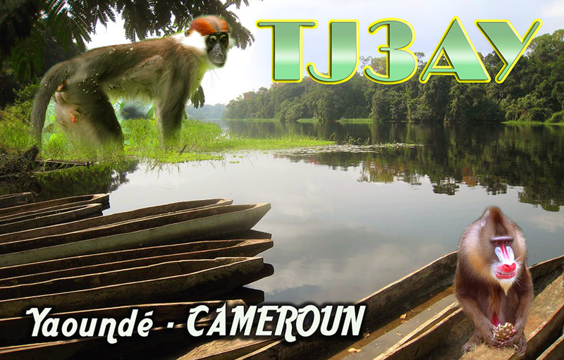 Камерун TJ3AY QSL