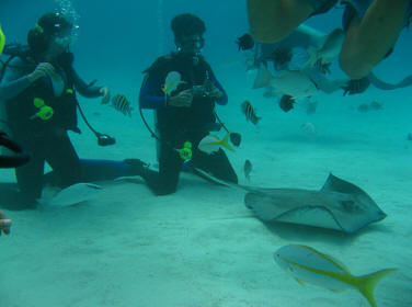 Cayman Islands