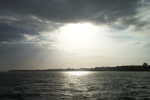 Cotejuba Island ZX8C