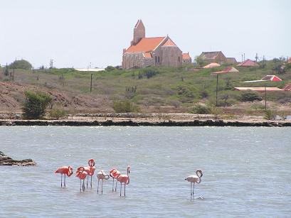 Curacao Island DX News PJ2/DL5RDP