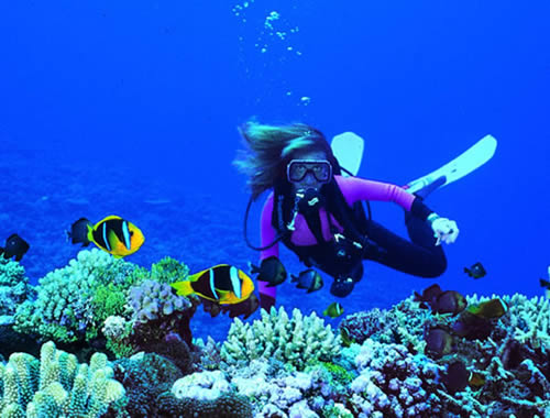 Fiji Islands 3D2AD