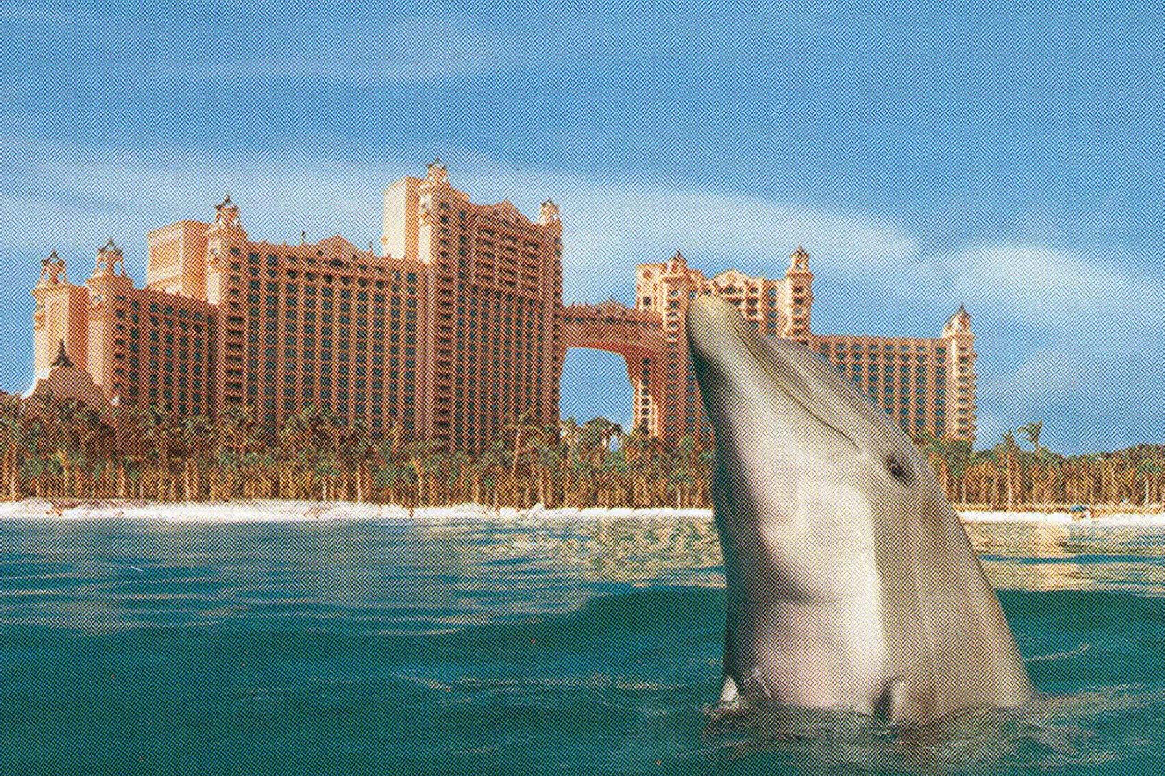 Hotel Atlantis Bahamas Dolphin Cay