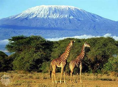 Kenya 5Z4/G4OHX Kiliminjaro