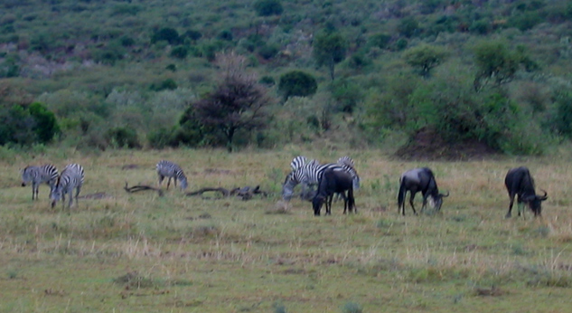 Kenya 5Z4EE