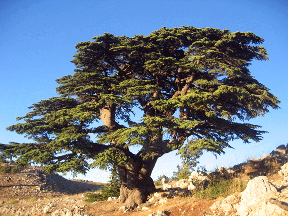 Lebanon
