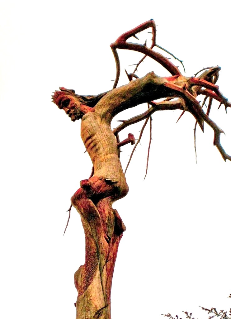 Ливан OD5/F5TLN Дерево Иисус Христос