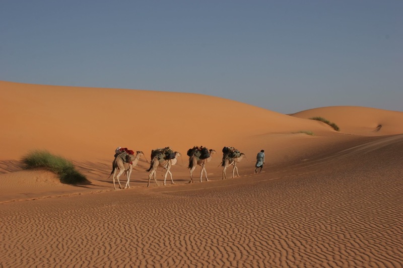 Mauritania DX News 5T0JL