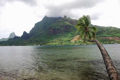 Moorea Island FO/K8AQM