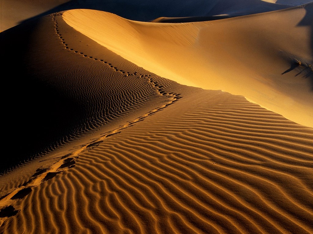 Namibia V5/DK1CE