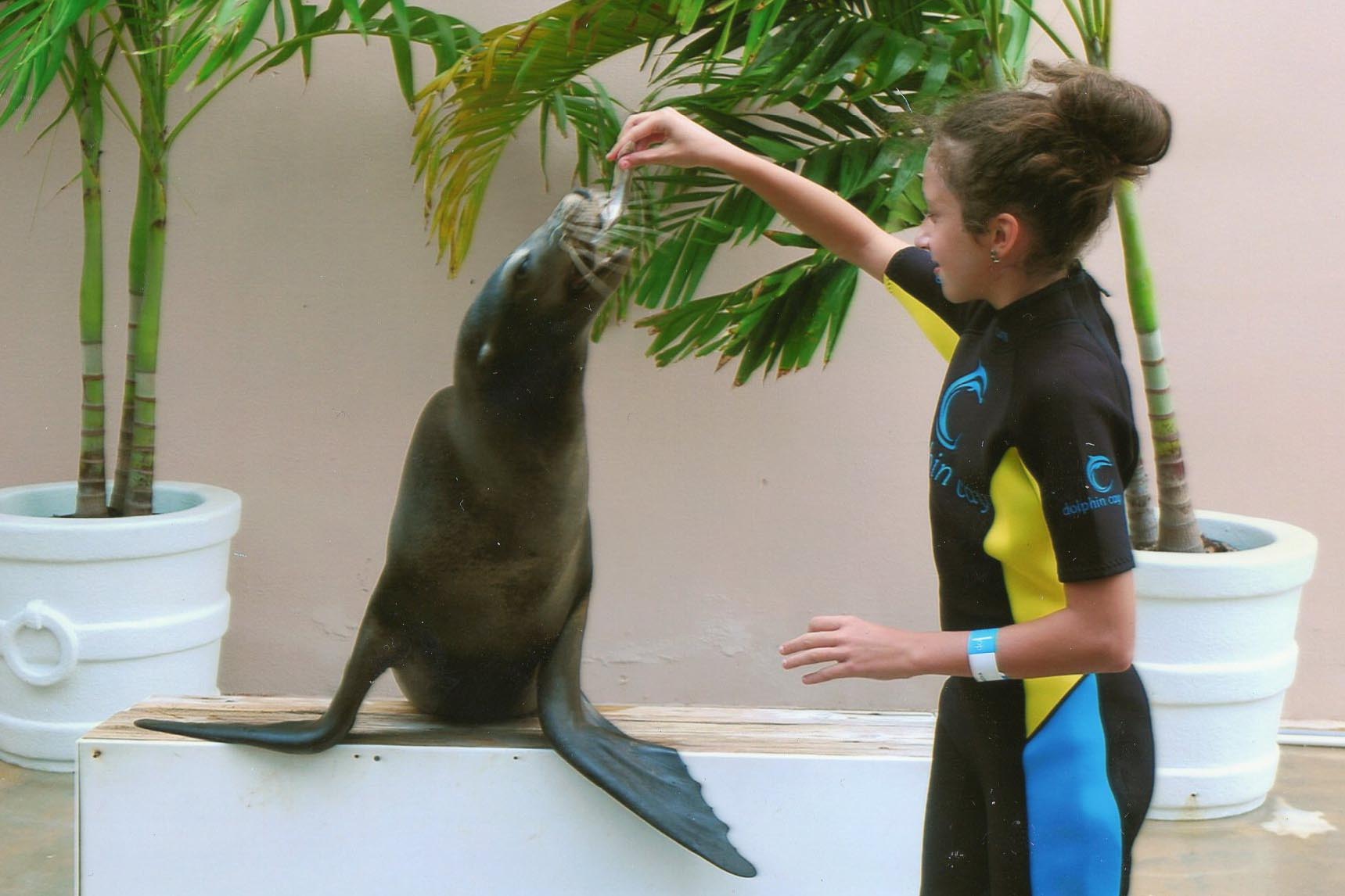 Hotel Atlantis Paradise Island Maria Sea Lion