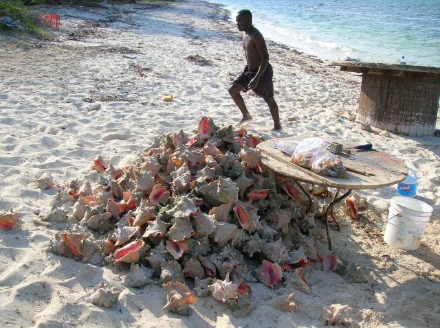 Providenciales Island Turks and Caicos Islands DX News