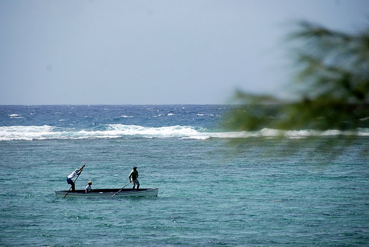 Rodrigues Island DX News 3B9/SP2JMB