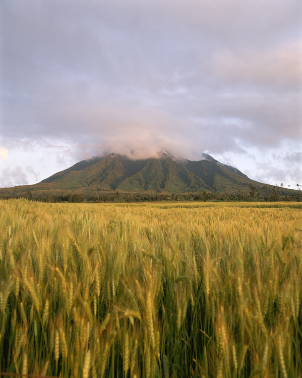 Photos Of Rwanda