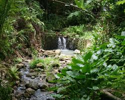Saint Lucia Island DX News J6/K8EAB