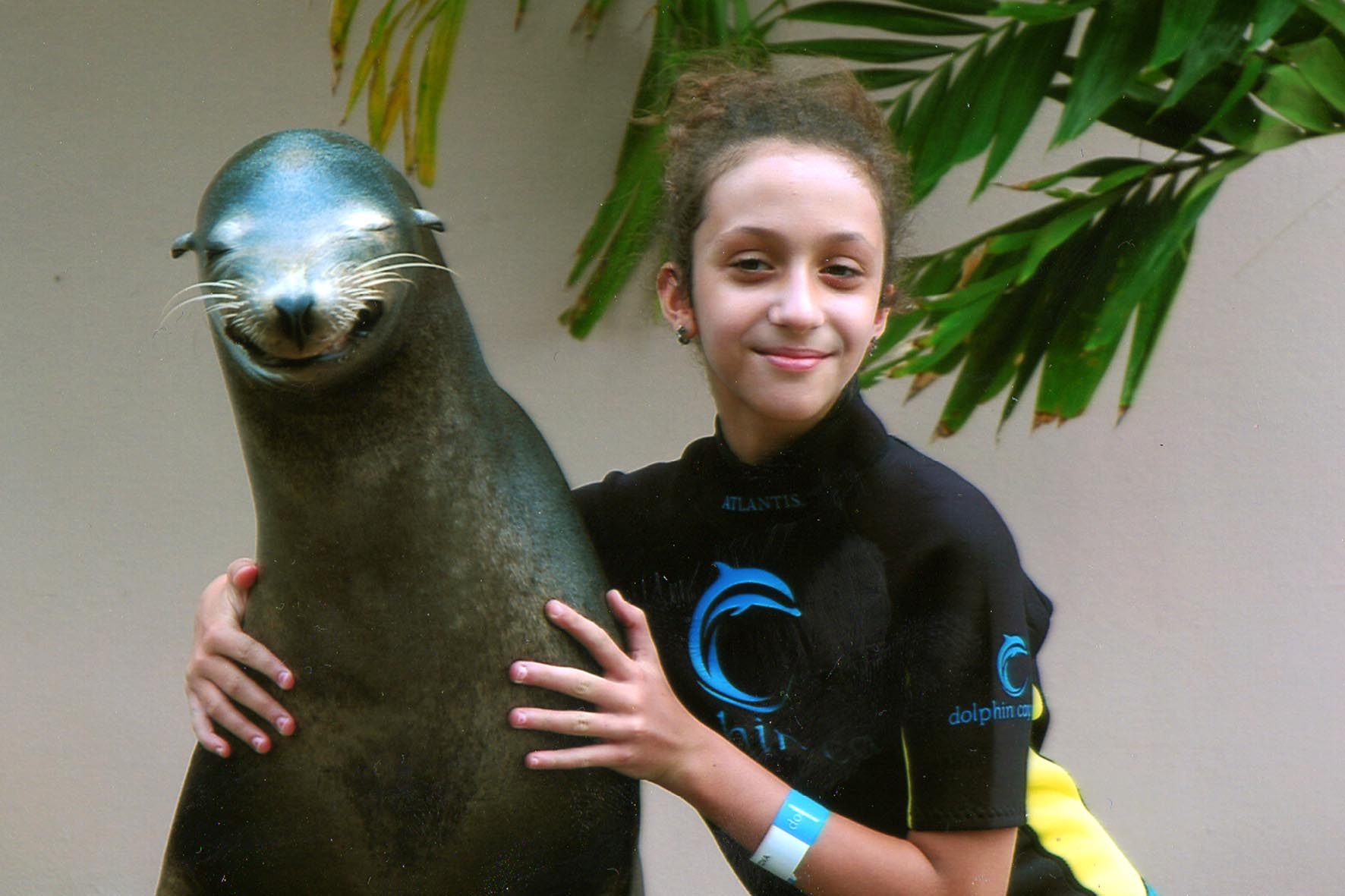 Sea Lion Bahama Islands C6ARR DX News