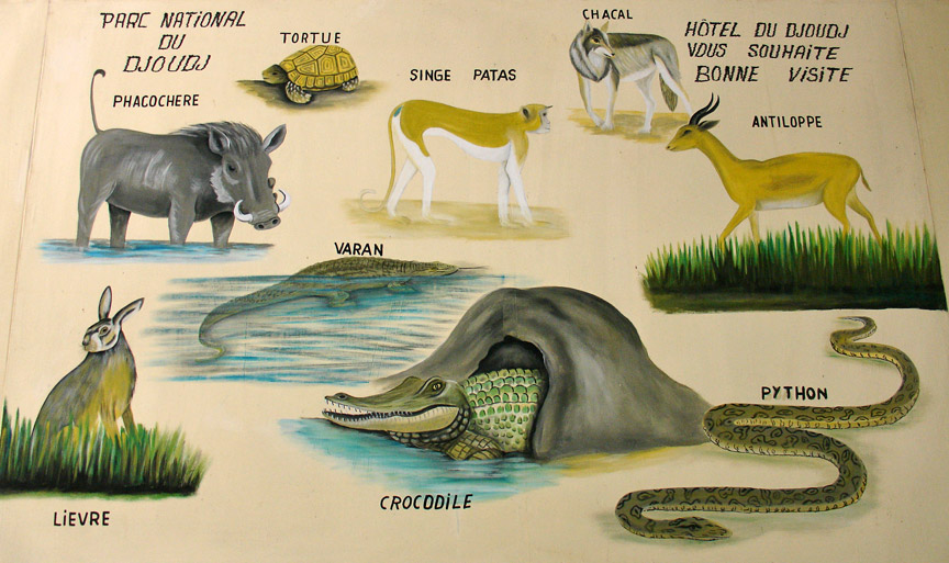 http://at-communication.com/upload/Image/Senegal.jpg