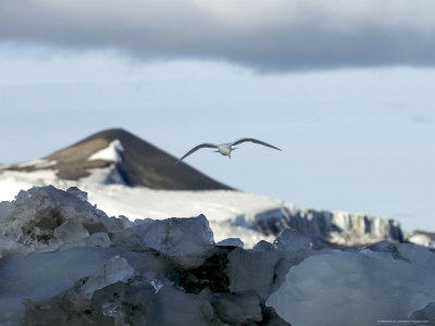 Svalbard Islands DX News JW5E JW7QIA JW5PHA