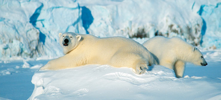Svalbard Islands DX News JW8XRA JW9VDA