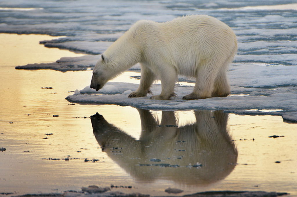 Svalbard Islands JW1RSA DX News