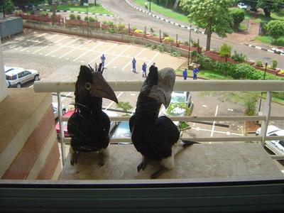 Uganda 5X1GS