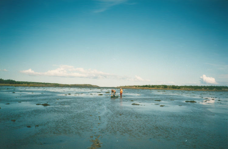 Yakostrov Island