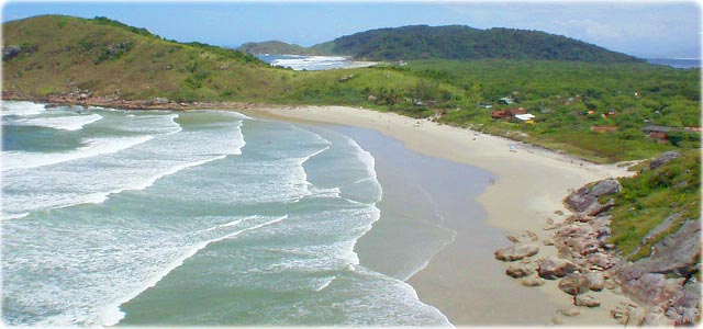 Mel Honey Island